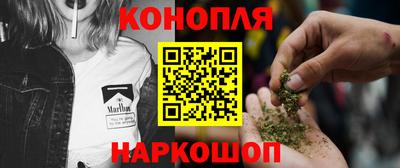 крисы Краснодар