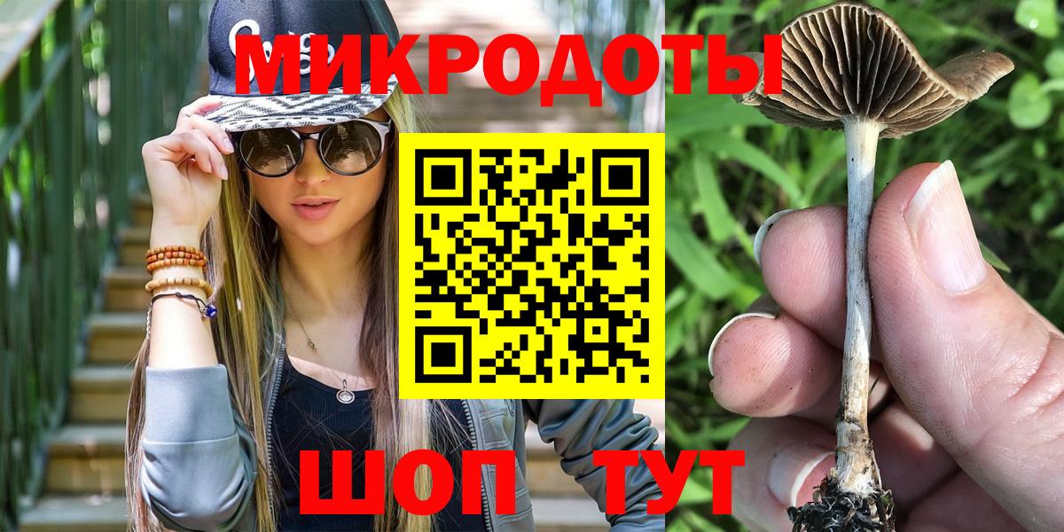 Псилоцибиновые грибы мицелий Коркино