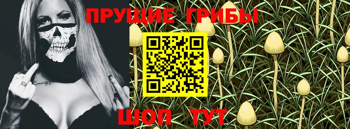 Псилоцибиновые грибы Psilocybine cubensis  Вход с VPN  Коркино 